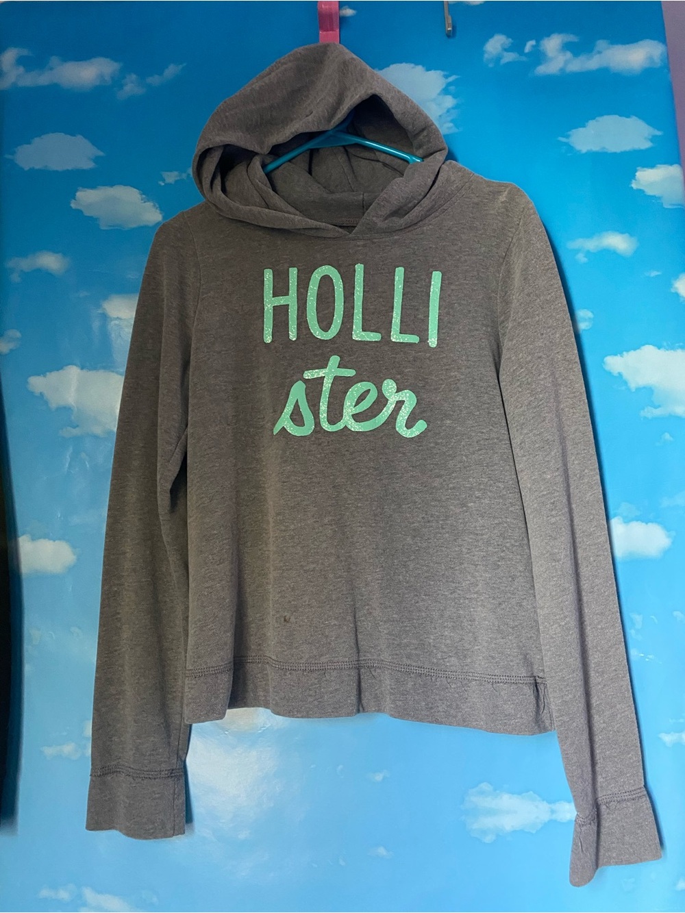Hollister Gray Hoodie with Mint Green Logo